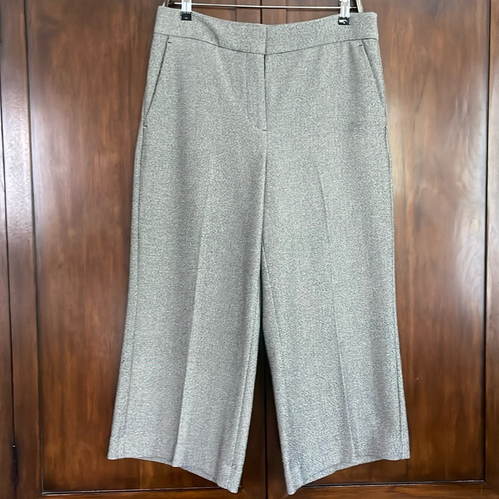 Worn 1x! Ann Taylor Wide Capri Pants